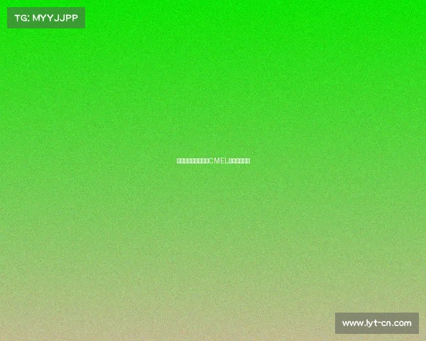 引领未来电竞潮流：CMEL赛事全新启航